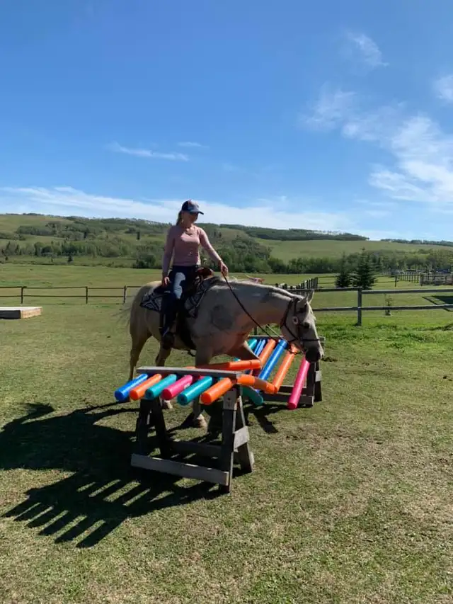 Western Horsemanship and Riding Lessons - Photo 2
