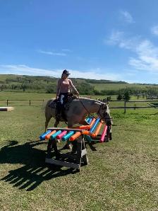 Western Horsemanship and Riding Lessons - Photo 2