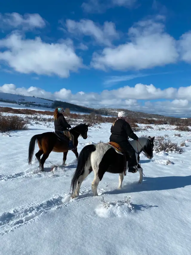 Western Horsemanship and Riding Lessons - Photo 4