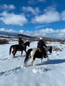 Western Horsemanship and Riding Lessons - Photo 4