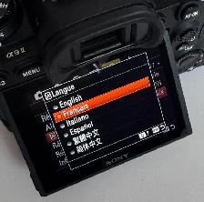 Sony A9 II, 237 déclenchements, comme neuf - Photo 8