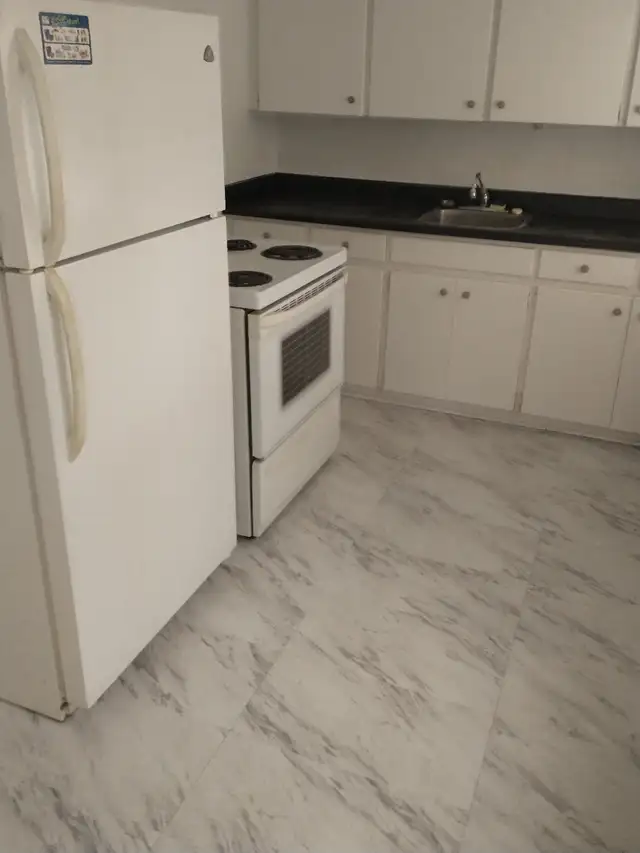 Large 1 bedroom apt. Jackson Park. Incl. Heat/Water. $1200 - Photo 5