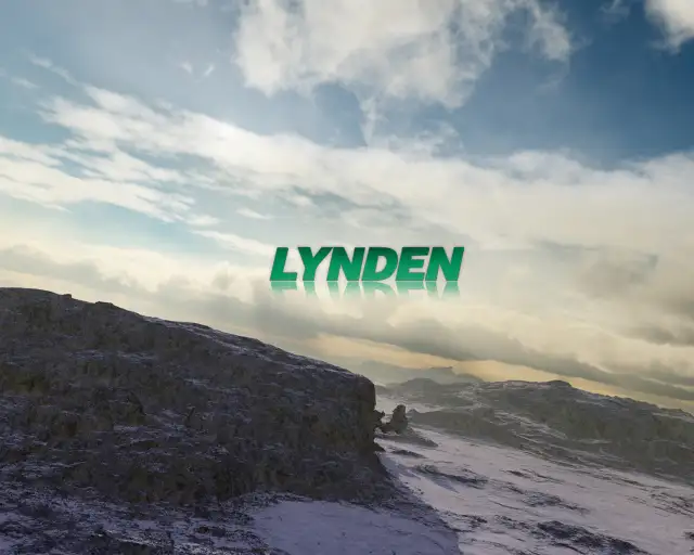 SINGLE AND TEAM DRIVERS WANTED - Photo 6