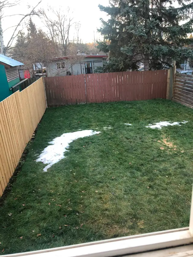 Bright, 2 Bedroom Basement Suite, Utilities Included - Photo 8