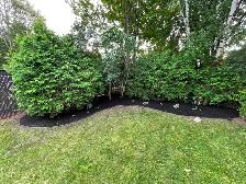 General labourer/contractor in Ottawa/Gatineau area - Photo 4