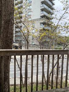 Fully Furnished Bedrooms Available Starting Summer Term! - Photo 23