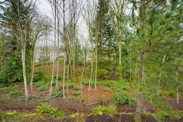 Spacious 4 Bed Townhome w/ Walkout Basement – King’s Gate - Photo 22