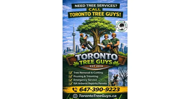TORONTO TREE GUYS - TREE REMOVAL - PRUNING - LICENSED & INSURED