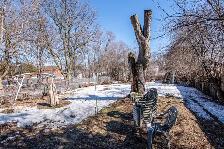 230 LANCASTER Street W, Kitchener $350,000 List Price - Photo 3