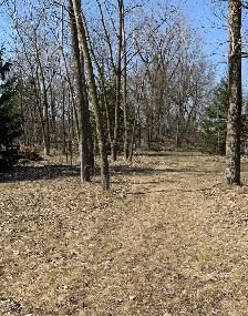 1 Acre lot for sale - Photo 6
