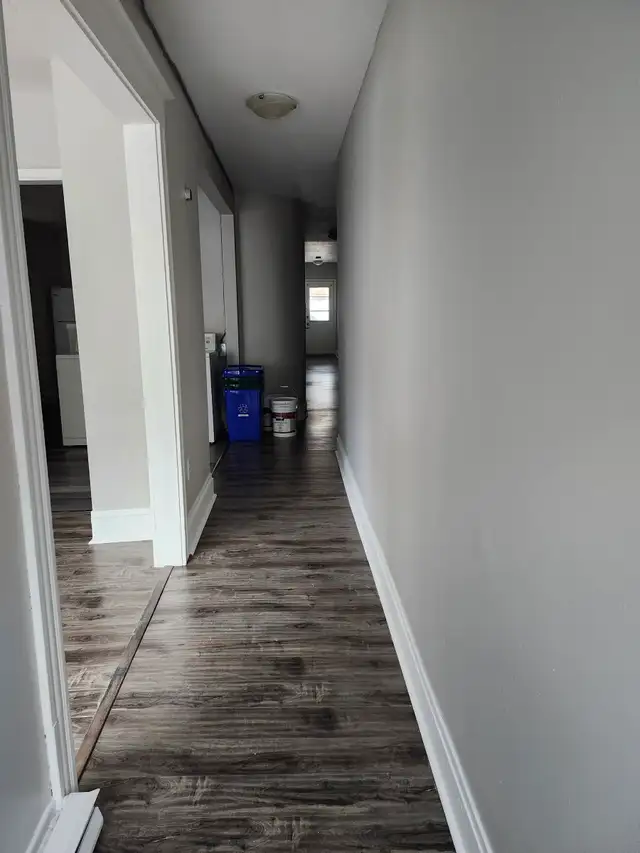 11A Harding - 2 BR Uptown, Laundry, Yard - Photo 2