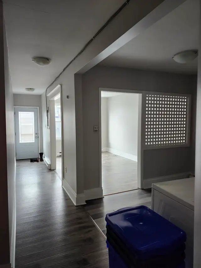 11A Harding - 2 BR Uptown, Laundry, Yard - Photo 4