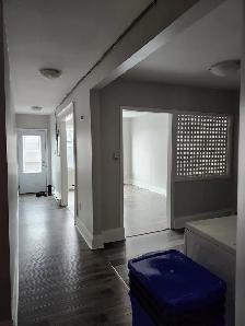 11A Harding - 2 BR Uptown, Laundry, Yard - Photo 4