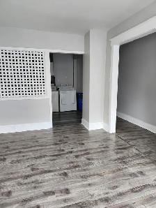 11A Harding - 2 BR Uptown, Laundry, Yard - Photo 5