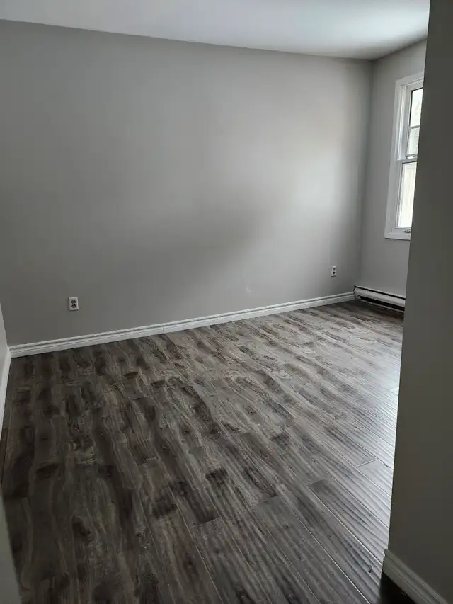 11A Harding - 2 BR Uptown, Laundry, Yard - Photo 12