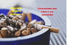 Services de conciergeries Patrice Sainte-Marie - Photo 7