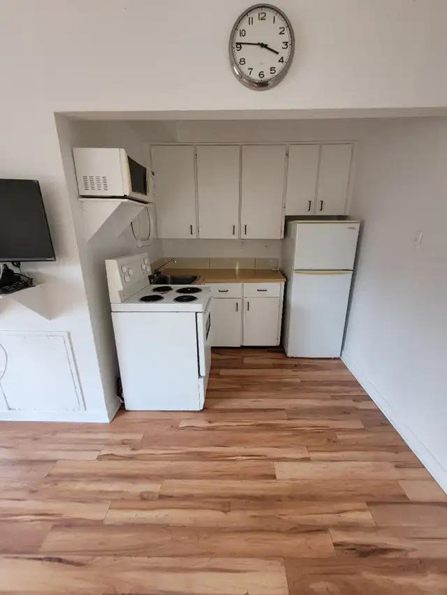 21/2,studio,bachelor,a,louer,for,rent,metro,viau,maisonneuve - Photo 2