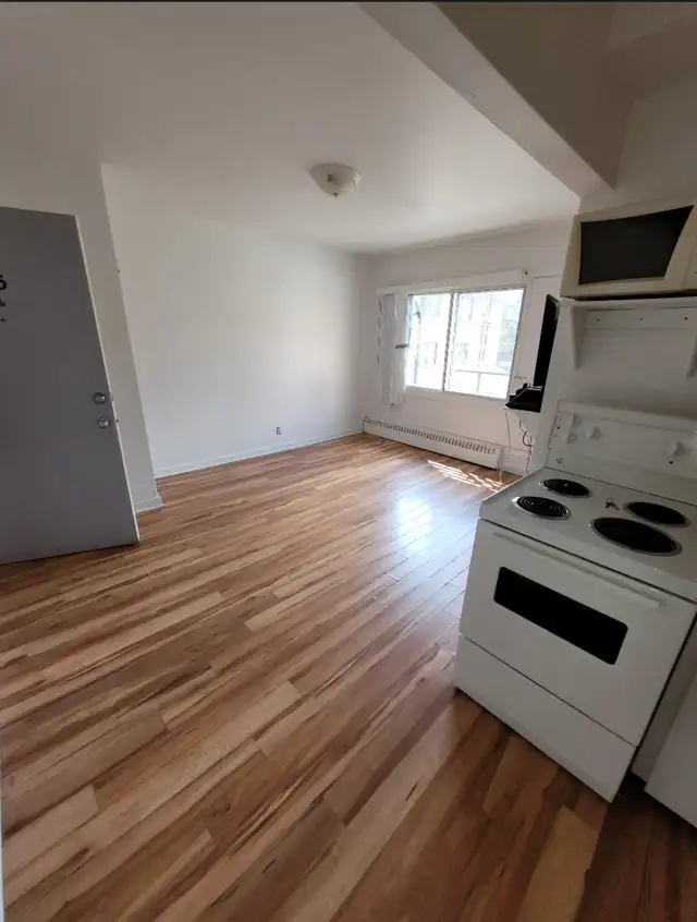 21/2,studio,bachelor,a,louer,for,rent,metro,viau,maisonneuve - Photo 4