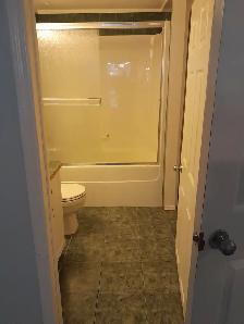 one bedroom basement apartment for rent