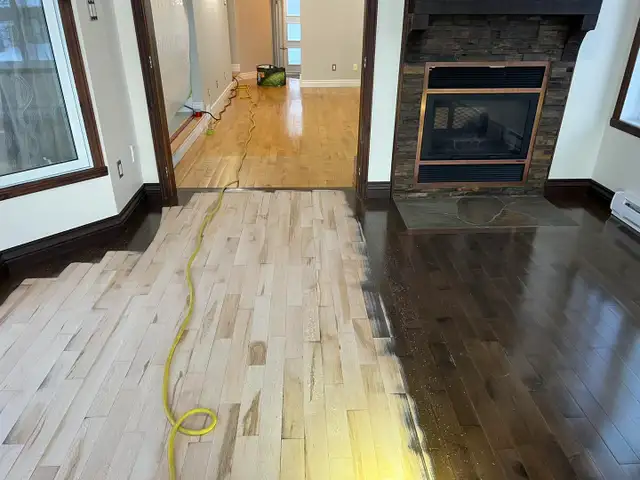 Le Docteur Sablage cherche des employés - 438-520-8512