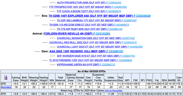 Hereford Bull - Forlorn-River Neville - Photo 4