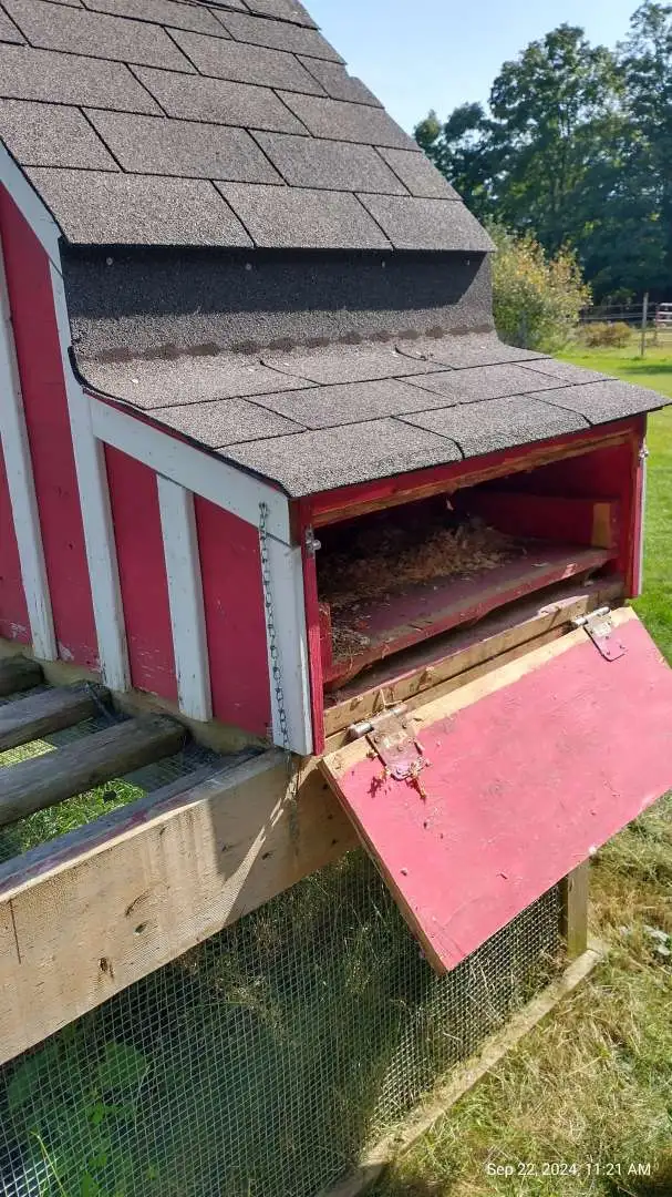 CHICKEN COOP - Photo 4