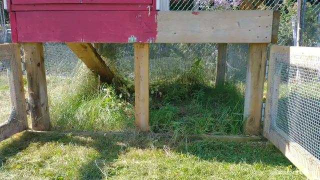 CHICKEN COOP - Photo 7