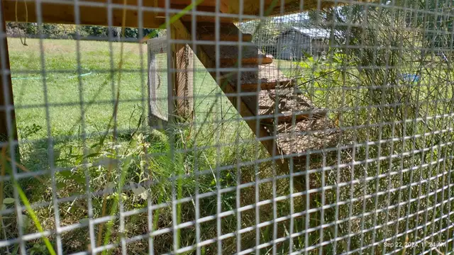 CHICKEN COOP - Photo 8