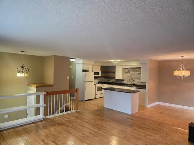 3 Bedroom Apartment next to Odell Park