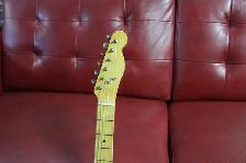 Palermo Jeff Beck Tele Gib Replica by Mike Palermo 2026 - Photo 9