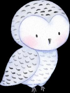 Adventure Companion - Photo 2