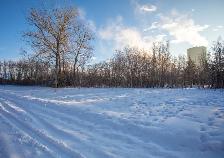 Fully serviced lot 4 in Alix – Ready for your dream home!