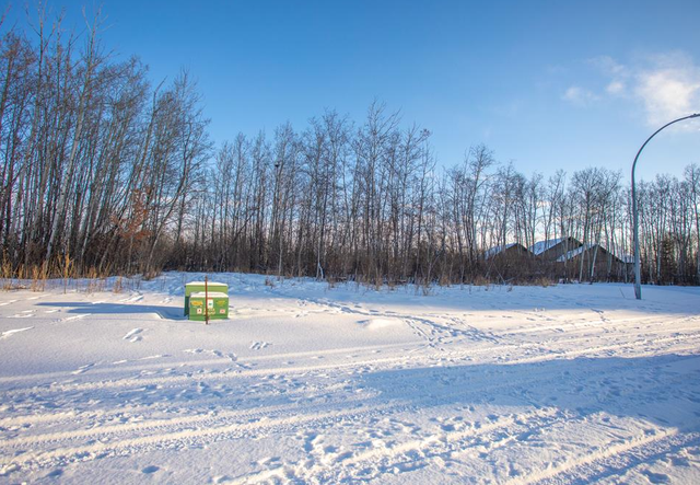 Fully serviced lot 4 in Alix – Ready for your dream home! - Photo 5