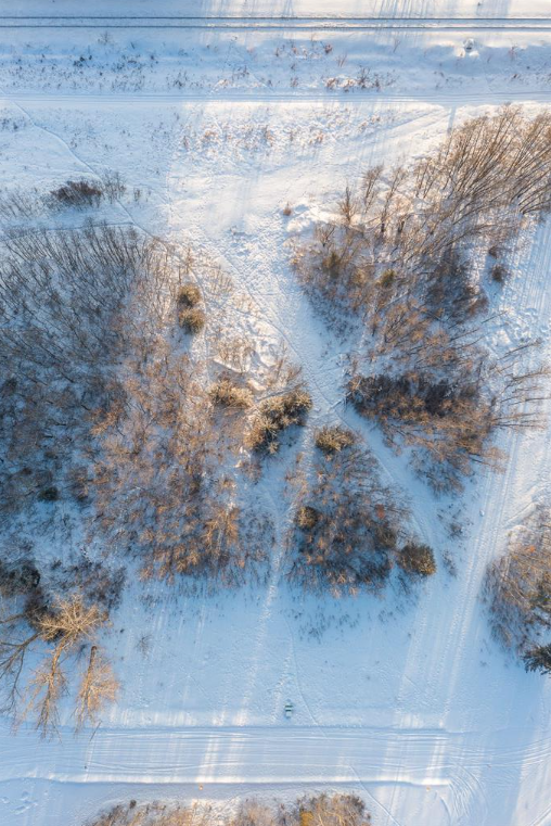 Fully serviced lot 4 in Alix – Ready for your dream home! - Photo 6