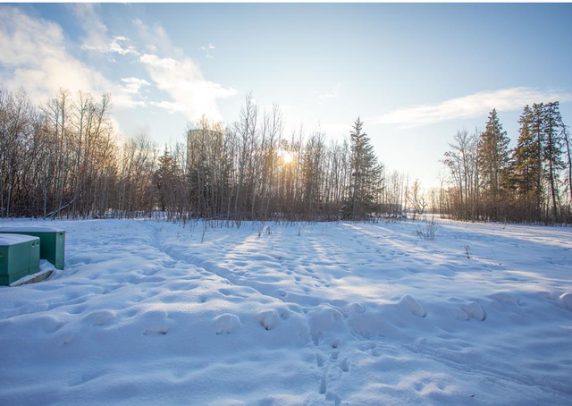 Fully serviced lot 4 in Alix – Ready for your dream home! - Photo 8