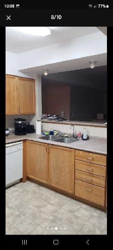 UWaterloo Apartment Room Male only