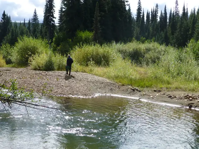 Placer Gold Claim Lightening Creek