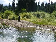 Placer Gold Claim Lightening Creek