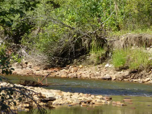 Placer Gold Claim Lightening Creek - Photo 2