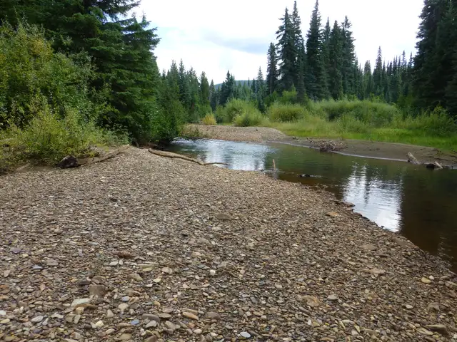 Placer Gold Claim Lightening Creek - Photo 3