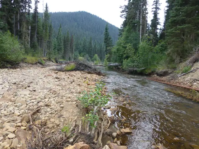 Placer Gold Claim Lightening Creek - Photo 4