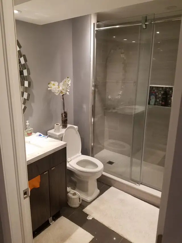 1   Den Basement Apartment (North West Brampton) - Photo 2