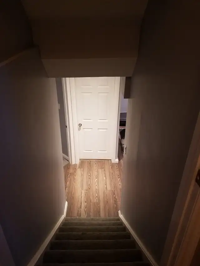 1   Den Basement Apartment (North West Brampton) - Photo 3