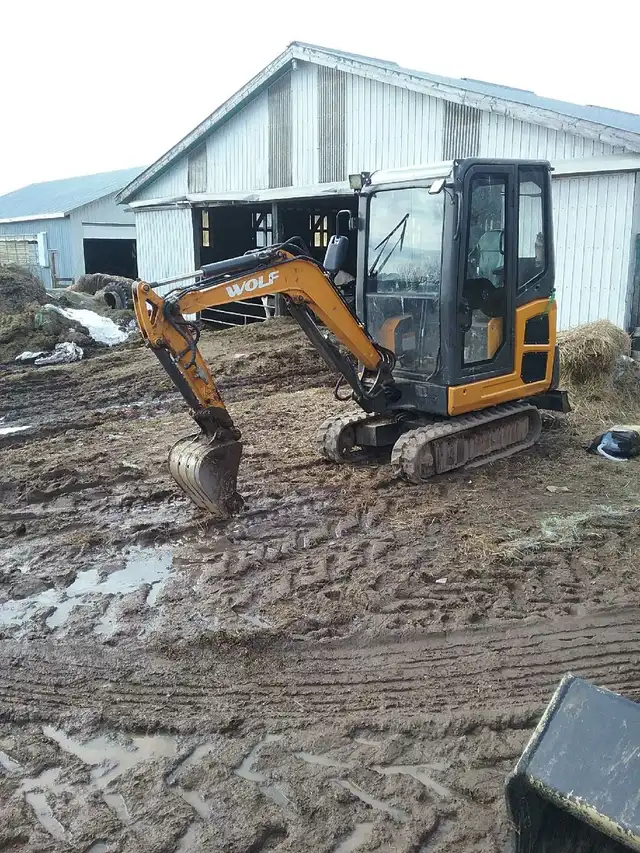 landscape stump removal exavator rental affordable rates