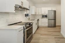 Luxury 1 Bedroom Apartment! Move In Ready!