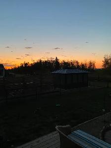 Sandy Point Resort Lot with Lakeview on Gull Lake - Photo 4