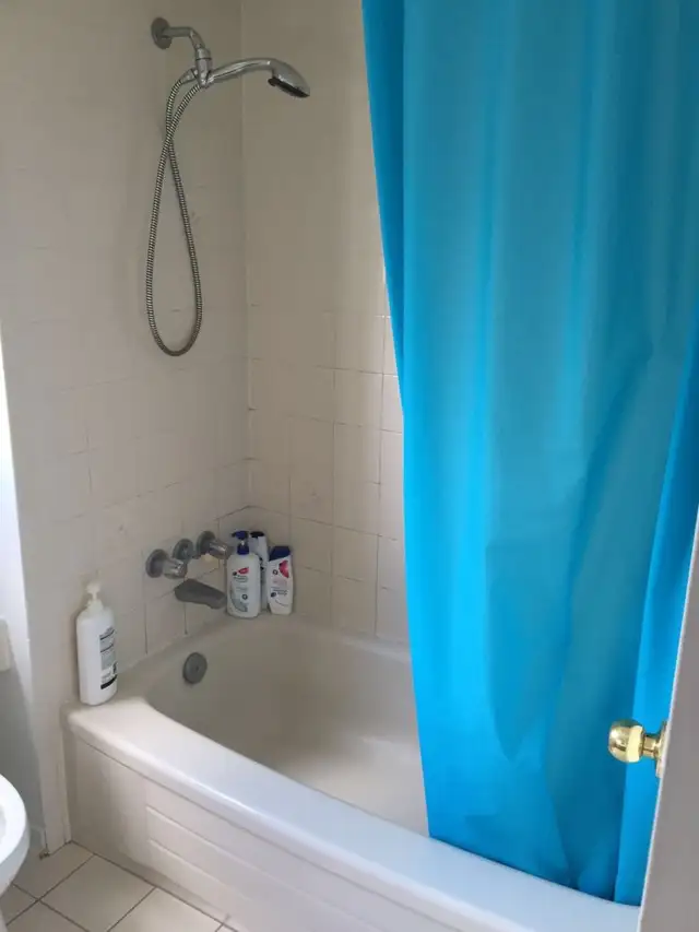 upstairs room (clean/bright) Dundas/Winston Churchill - Photo 2