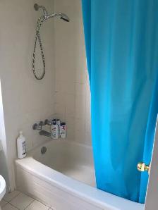 upstairs room (clean/bright) Dundas/Winston Churchill - Photo 2