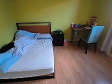 upstairs room (clean/bright) Dundas/Winston Churchill - Photo 6