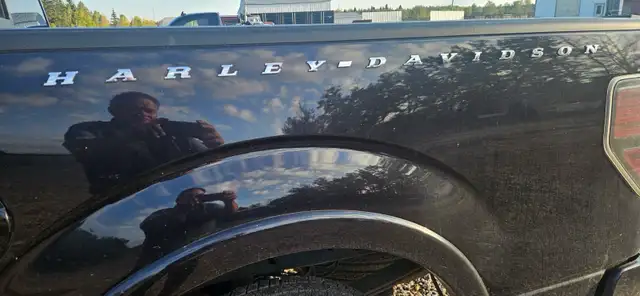 2010 HARLEY Davidson Truck - Photo 7